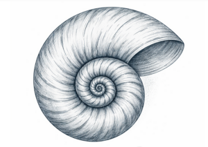 Home 1 Deafening Silence... turns natural impact